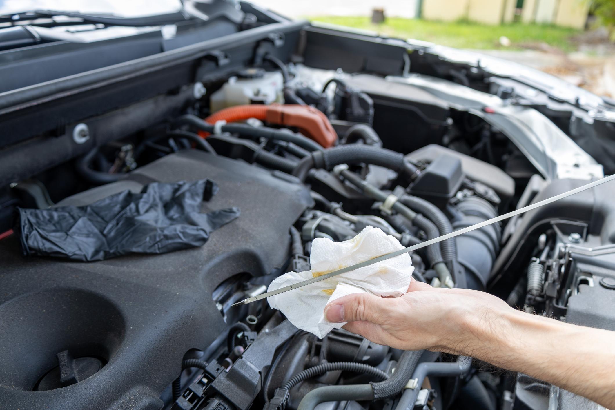 checking oil checking oil